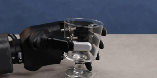 Dexterous Robotic Hands in Medical and Rehabilitation Robotics
