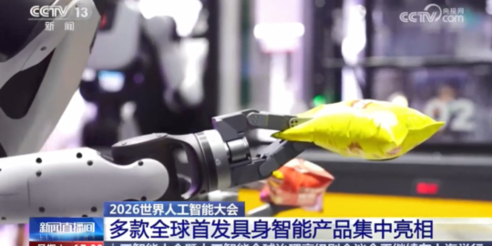 自适应夹爪如何实现不规则物体稳定抓取？核心原理与结构优势在哪里？